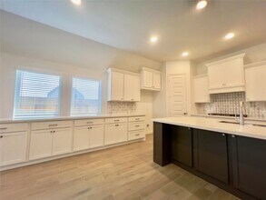 10931 Spring Wind Dr in Missouri City, TX - Building Photo - Building Photo