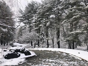 29 Tito Ln in Wilton, CT - Building Photo - Building Photo