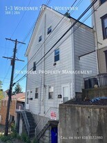 1-3 Woessner Ave in Pittsburgh, PA - Building Photo