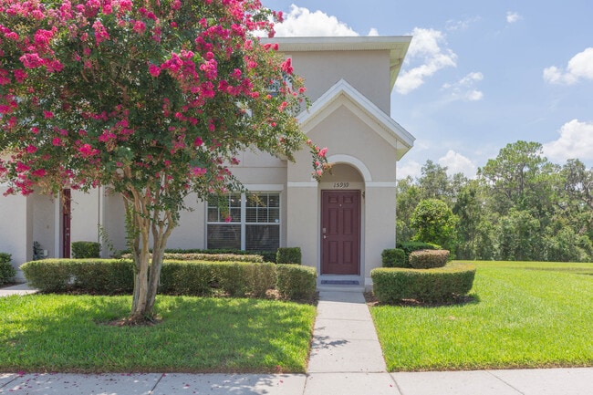 property at 15939 Fishhawk View Dr