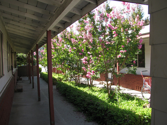 500 Pomona Ave in Oroville, CA - Building Photo - Building Photo