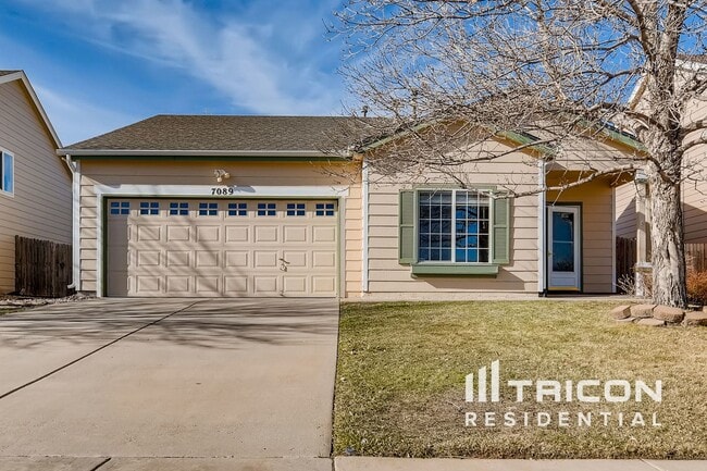 7089 Cattle Dr in Colorado Springs, CO - Building Photo - Building Photo