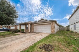 1123 Desert Palms Ln in Rosenberg, TX - Building Photo - Building Photo