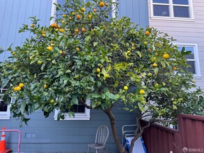 2144 Franklin St in San Francisco, CA - Foto de edificio - Building Photo