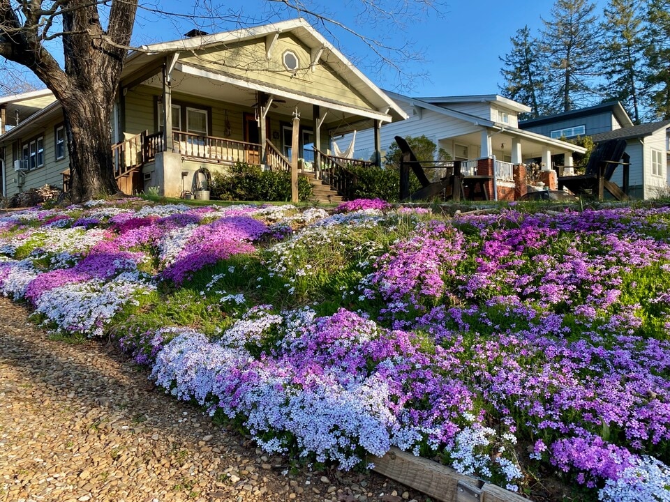 9 Unaka Ave, Unit Upstairs in Asheville, NC - Foto de edificio