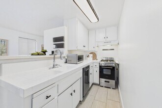 15 Catamaran Street in Venice, CA - Building Photo - Building Photo