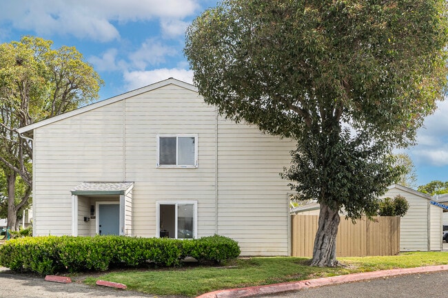 4251 Apollo Cir in Union City, CA - Building Photo - Building Photo