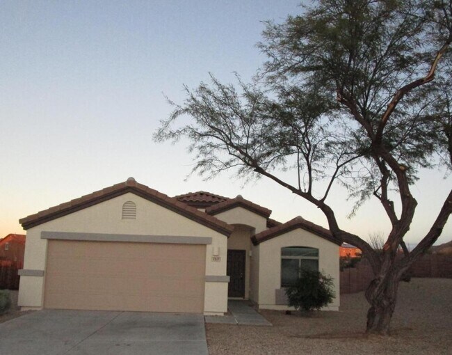 743 S Willis Ray Ave in Corona De Tucson, AZ - Building Photo - Building Photo