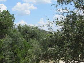 10620 Deer Canyon Rd in Jonestown, TX - Building Photo - Building Photo