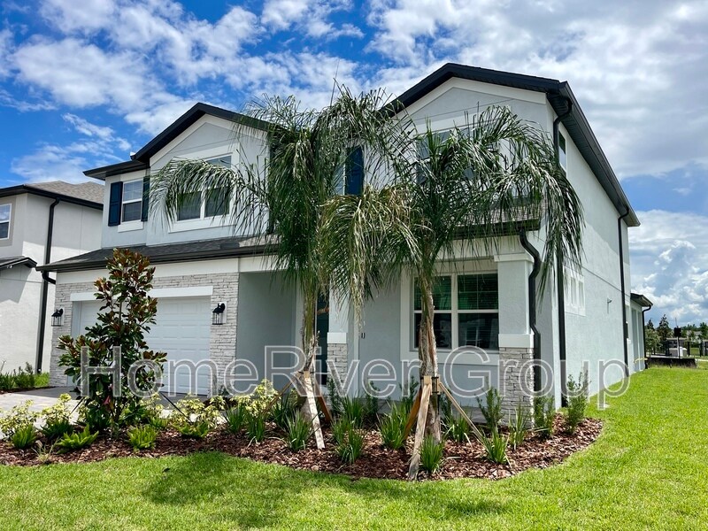 10701 New Morning Dr in Tampa, FL - Building Photo