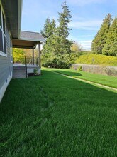 5416 Salish Rd in Blaine, WA - Building Photo - Building Photo