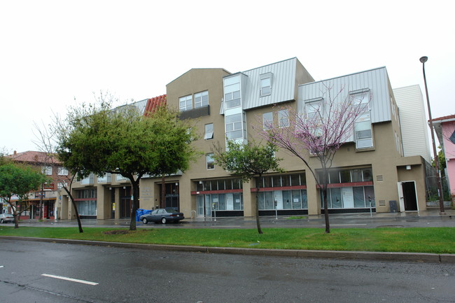 University Neighborhood Apartments in Berkeley, CA - Building Photo - Building Photo