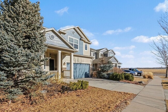 3038 Percheron Dr in Fort Collins, CO - Building Photo - Building Photo