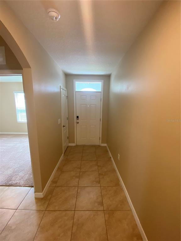 1742 Point O Woods Ct in Mount Dora, FL - Building Photo - Building Photo