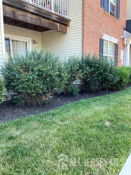 731 Cedar Ct in New Brunswick, NJ - Building Photo - Building Photo