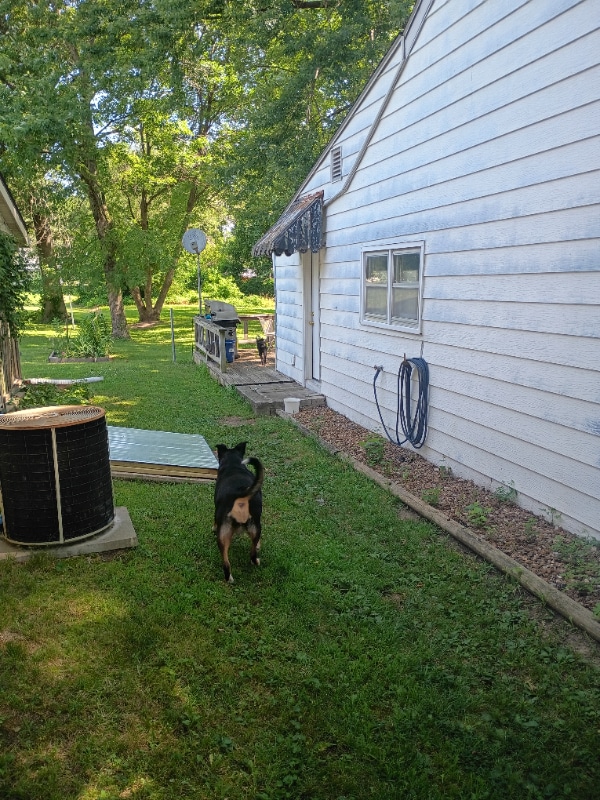 817 E Franklin St in Clinton, MO - Foto de edificio - Building Photo