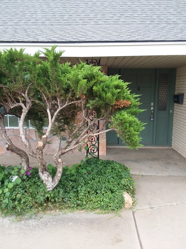 4209 Tulia Dr Rentals in Amarillo, TX