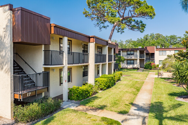 Winding Creek in Clearwater, FL - Foto de edificio - Building Photo