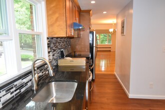 14 Louise Rd, Unit #2 in Chestnut Hill, MA - Foto de edificio - Building Photo