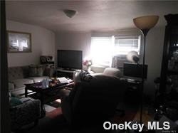 247 Oakley Ave in Elmont, NY - Building Photo - Building Photo