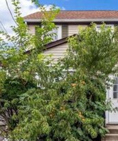 160 Broad St, Unit Williston Park NY 11596 in Williston Park, NY - Building Photo