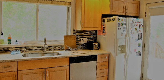251 Captain Eames Cir in Ashland, MA - Building Photo - Building Photo
