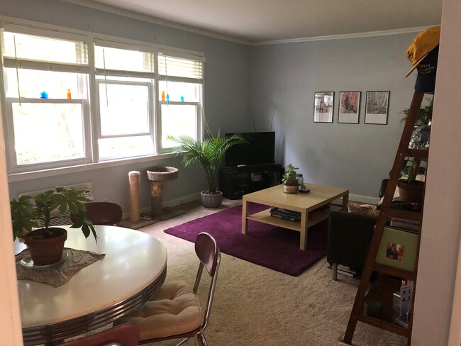 property at 703 Daniels St