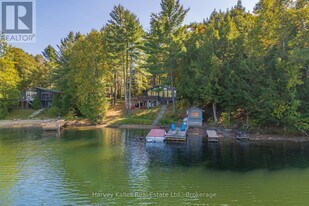 1003 Hollow Rd in Algonquin Highlands, ON - Building Photo