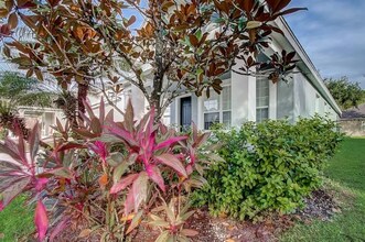 8436 Greenbank Blvd in Windermere, FL - Foto de edificio - Building Photo