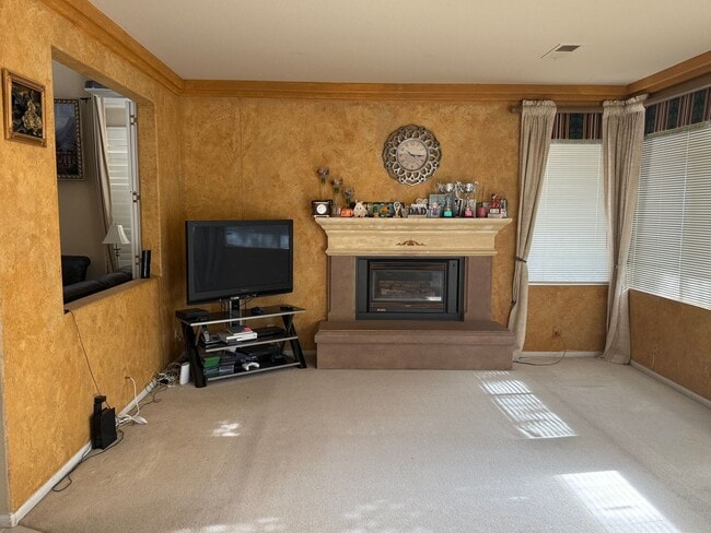 11373 Swan Canyon Rd in San Diego, CA - Building Photo - Building Photo