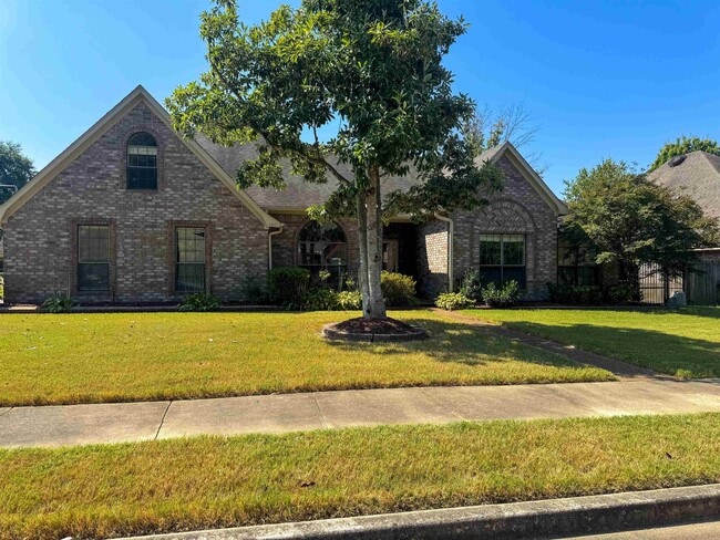 property at 287 Black Wolf Dr