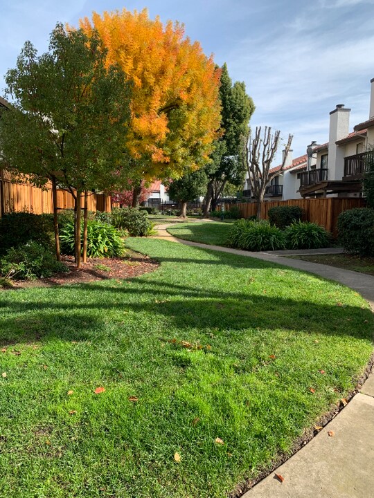 771 Williamsburg Way in Gilroy, CA - Building Photo