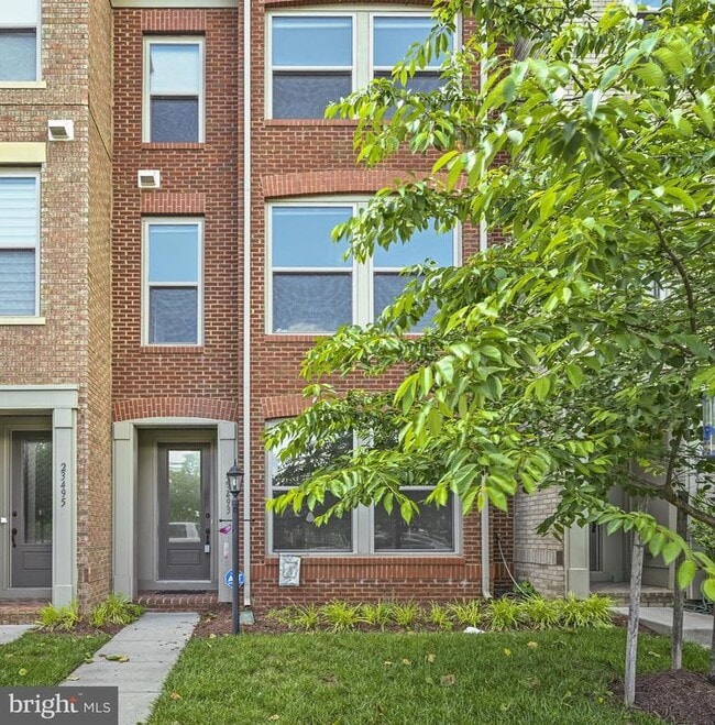 23493 Adagio Terrace in Ashburn, VA - Foto de edificio - Building Photo