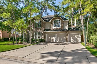35 Larks Aire Pl in Spring, TX - Building Photo