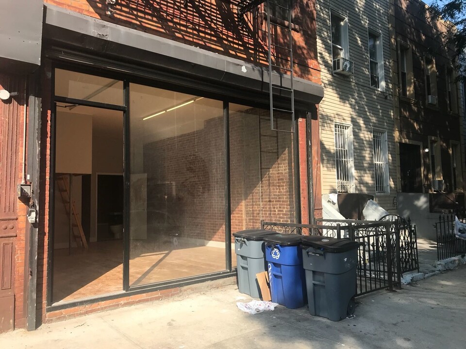 667 Evergreen Ave in Brooklyn, NY - Building Photo