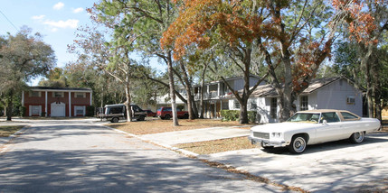 1401-1409 College Park Ln in Tampa, FL - Building Photo - Building Photo