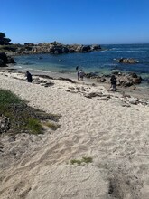 1204 Surf Ave in Pacific Grove, CA - Building Photo - Building Photo
