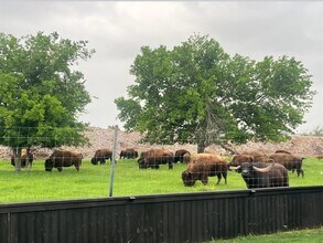 11305 Sentinel Dr in Austin, TX - Building Photo - Building Photo