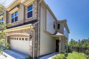 63 Aventura Pl in Spring, TX - Building Photo
