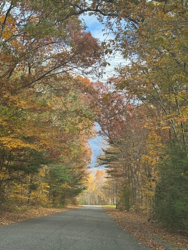 property at 86 Buff Cap Rd