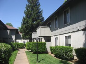 Riverglen by the River in Sacramento, CA - Building Photo
