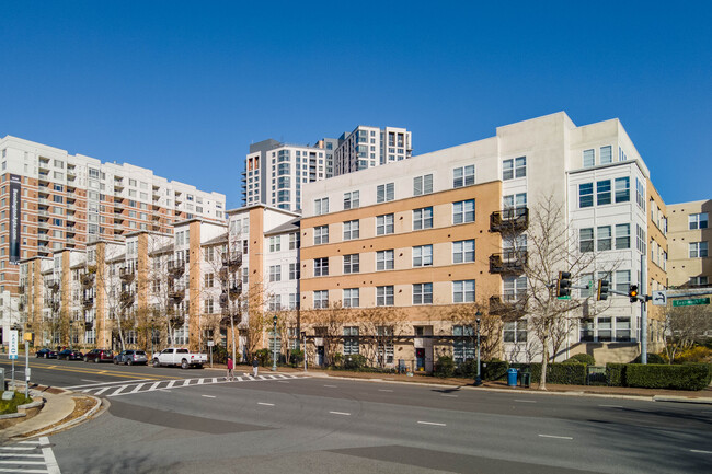 Silverton Condominiums in Silver Spring, MD - Building Photo - Building Photo