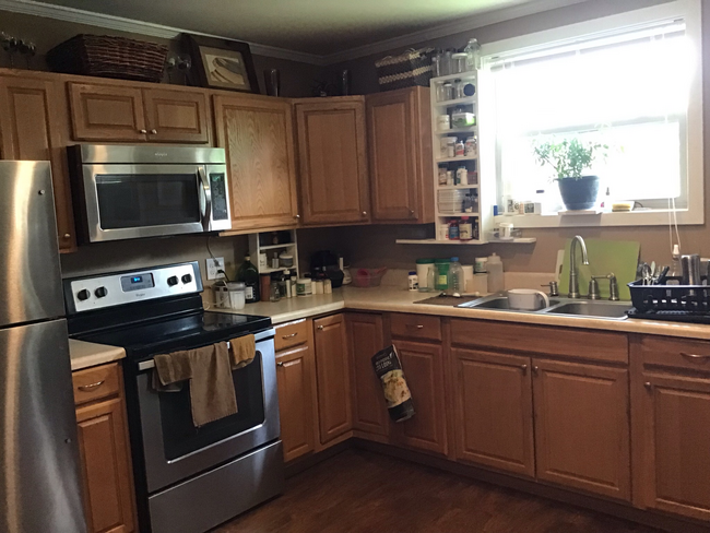 42 Haw Creek Cir in Asheville, NC - Building Photo - Building Photo
