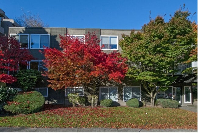 Angeline in Seattle, WA - Building Photo - Building Photo