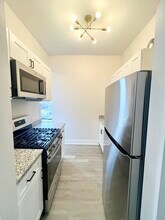 3006 W 23rd St in Chicago, IL - Building Photo - Building Photo