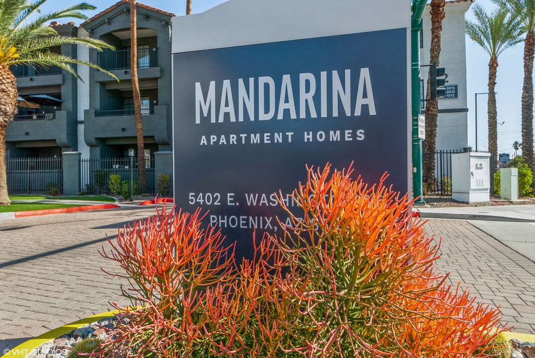 Mandarina in Phoenix, AZ - Building Photo