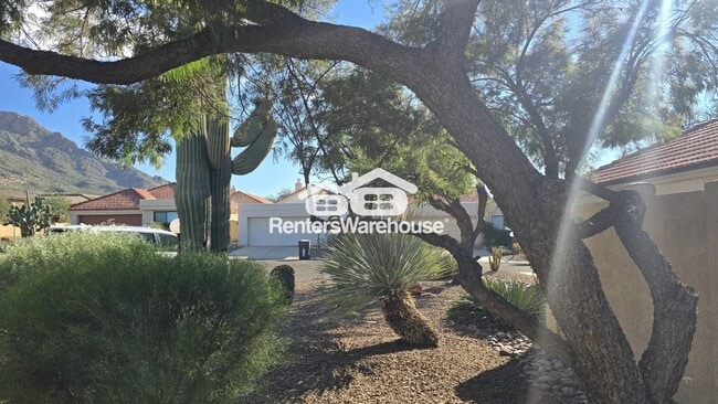 311 E Suntree St in Oro Valley, AZ - Foto de edificio - Building Photo