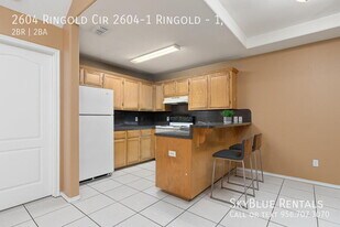 2604 W Ringold Cir in Edinburg, TX - Building Photo