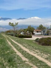 4797 Live Oak Dr in Colorado Springs, CO - Building Photo - Building Photo