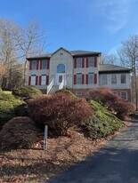 141 Player Ct in McGaheysville, VA - Building Photo